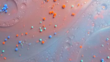 videovlek26-e1566805732393